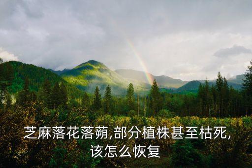 芝麻拌種用什么農(nóng)藥,芝麻打什么農(nóng)藥高產(chǎn)