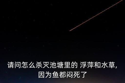 請問怎么殺滅池塘里的 浮萍和水草,因為魚都悶死了