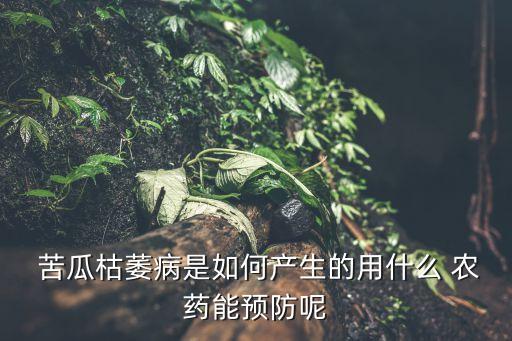 苦瓜枯萎病是如何產生的用什么 農藥能預防呢
