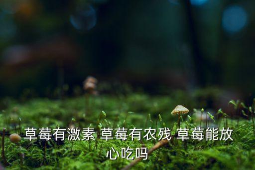 草莓農(nóng)藥什么味道好吃,草莓的味道又酸又甜,真好吃