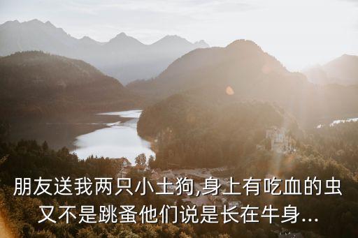朋友送我兩只小土狗,身上有吃血的蟲又不是跳蚤他們說是長在牛身...