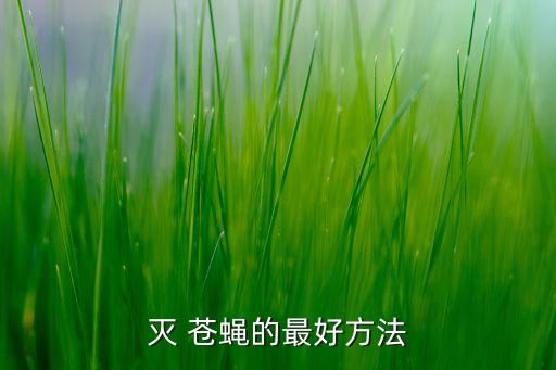 滅 蒼蠅的最好方法