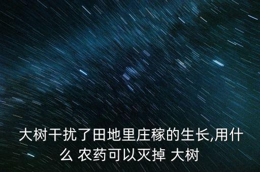 大樹(shù)干擾了田地里莊稼的生長(zhǎng),用什么 農(nóng)藥可以滅掉 大樹(shù)