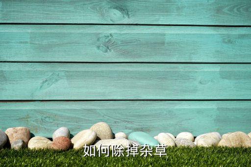 除麥冬草用什么農藥,麥冬草適合種在什么地方