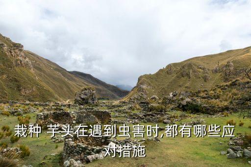 打芋頭用什么銅農藥好,芋頭蟲用什么農藥