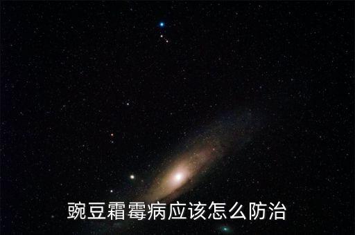 豌豆霜霉病應該怎么防治