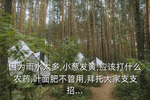 種小蔥打什么農藥,小蔥需要打農藥嗎