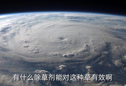 有什么除草劑能對這種草有效啊