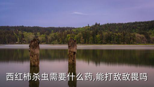 西紅柿殺蟲需要什么藥,能打敵敵畏嗎