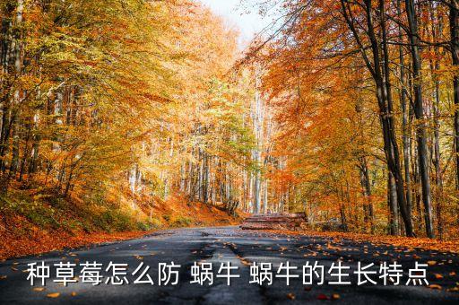 種草莓怎么防 蝸牛 蝸牛的生長特點