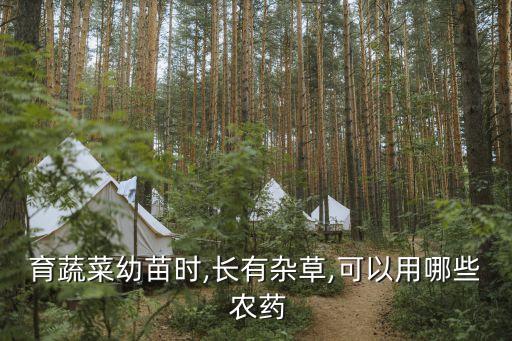 育蔬菜幼苗時,長有雜草,可以用哪些 農藥