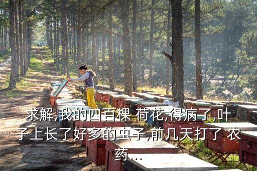 荷花用什么農藥清除,什么農藥可以清除三葉草