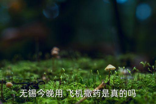 看見(jiàn)飛機(jī)撒農(nóng)藥什么意思,灑農(nóng)藥的飛機(jī)叫什么