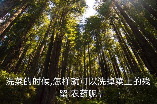蔬菜上的農(nóng)藥用什么浸泡,蔬菜在水中浸泡多久可以去除農(nóng)藥