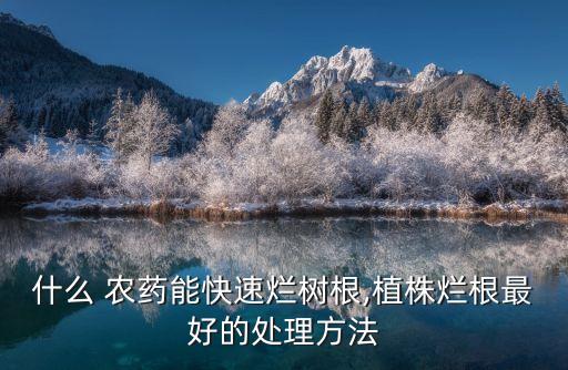 什么 農(nóng)藥能快速爛樹根,植株爛根最好的處理方法