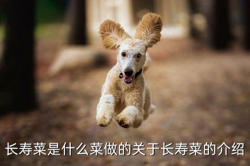 長壽菜是什么菜做的關于長壽菜的介紹