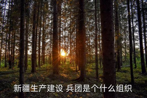 新疆生產(chǎn)建設(shè) 兵團(tuán)是個(gè)什么組織