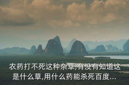 ,沒有農藥打什么藥會死