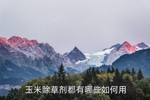 玉米除草劑都有哪些如何用