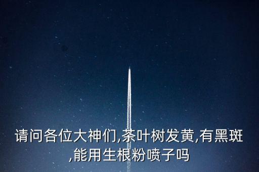 請問各位大神們,茶葉樹發黃,有黑斑,能用生根粉噴子嗎