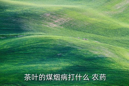  茶葉的煤煙病打什么 農藥