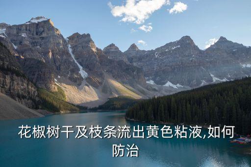 花椒根腐病用什么農藥,花椒樹現在打什么農藥