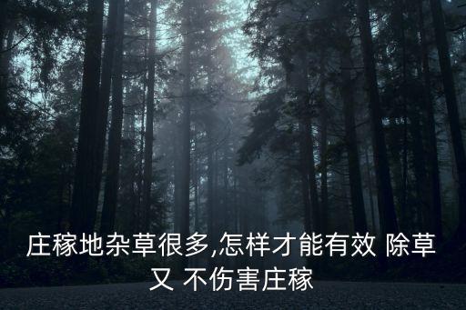 莊稼地雜草很多,怎樣才能有效 除草又 不傷害莊稼