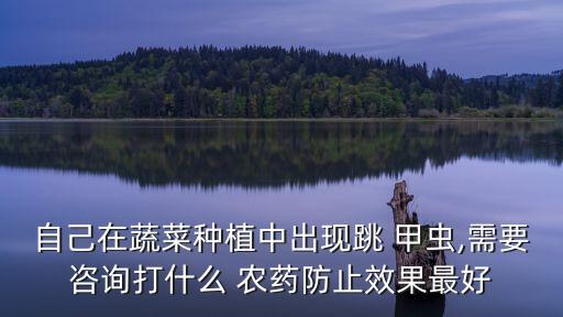 跳甲蟲用什么農藥治,蔬菜上的跳甲蟲用什么農藥