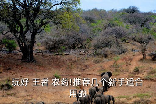 王者打農藥有什么好處,王者農藥什么意思
