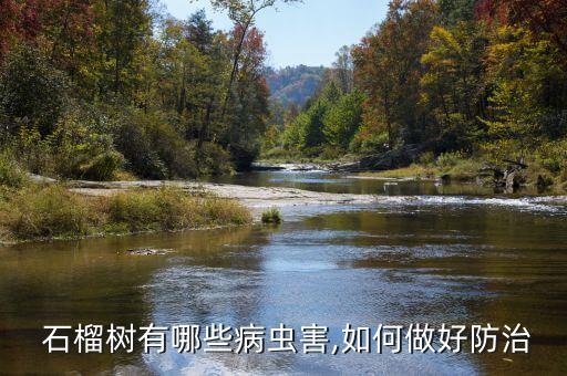 石榴樹有哪些病蟲害,如何做好防治