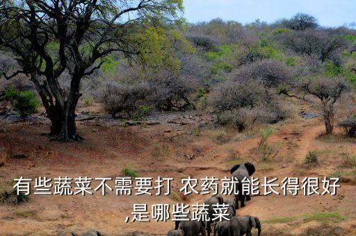 有些蔬菜不需要打 農藥就能長得很好,是哪些蔬菜