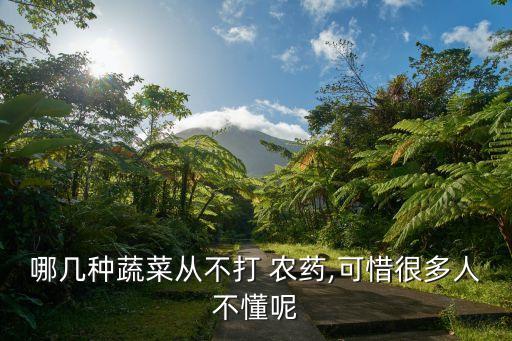 哪幾種蔬菜從不打 農(nóng)藥,可惜很多人不懂呢
