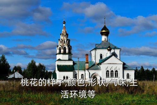 桃花的樣子,顏色,形狀,氣味,生活環(huán)境等