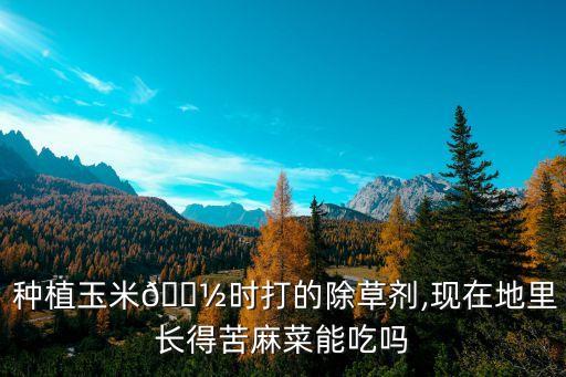 種植苦荬菜用什么農藥