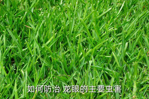 龍眼噴什么農藥除臭蟲,什么農藥能殺死臭蟲