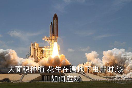 大面積種植 花生在遇地下蟲害時,該如何應對