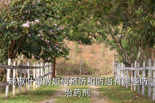 辣椒防病有什么農(nóng)藥7,打辣椒農(nóng)藥什么時(shí)間打效果好