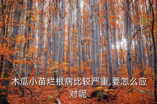  木瓜小苗爛根病比較嚴(yán)重,要怎么應(yīng)對(duì)呢
