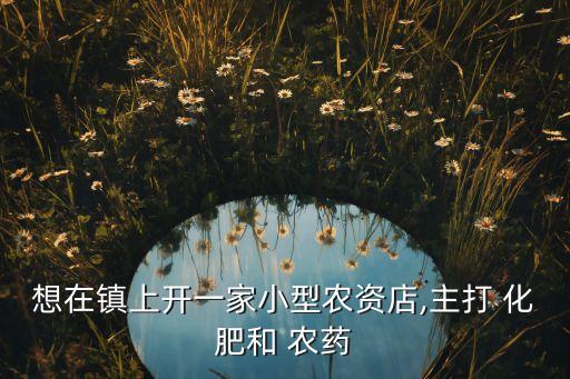 想在鎮上開一家小型農資店,主打 化肥和 農藥