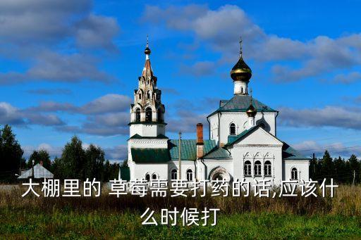 大棚里的 草莓需要打藥的話,應該什么時候打