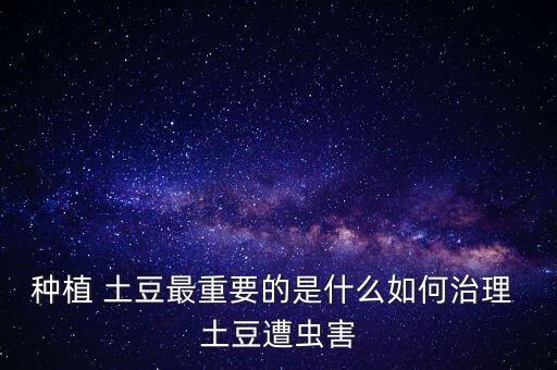 土豆用什么農藥辦種,土豆打什么農藥會更大