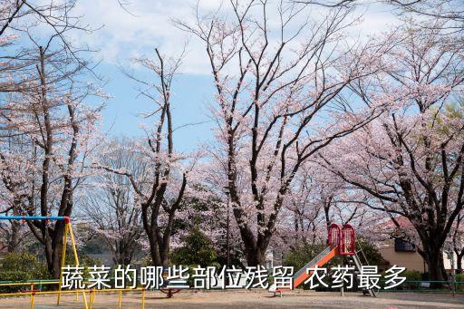  蔬菜的哪些部位殘留 農(nóng)藥最多