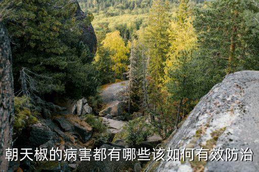 朝天椒的病害都有哪些該如何有效防治