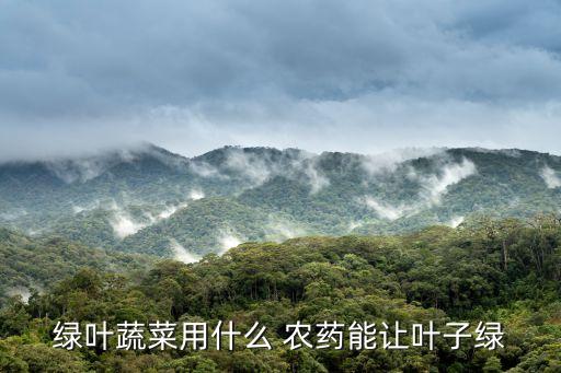 什么農藥適合打青菜苗,青菜用什么洗可以去農藥