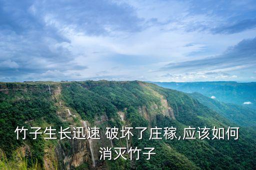 竹子生長迅速 破壞了莊稼,應(yīng)該如何消滅竹子