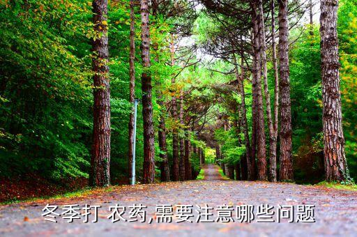 噴農(nóng)藥加什么水好呢圖片,農(nóng)藥噴霧器圖片