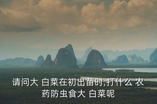 白菜生蟲打什么農藥好,白菜容易生什么蟲