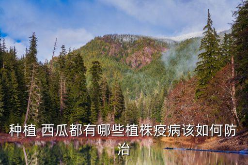 西瓜黃蟲用什么農藥好,西瓜一般打什么農藥