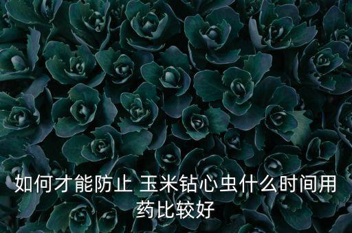 玉米生蟲什么時候打農藥,玉米調節劑什么時候打?