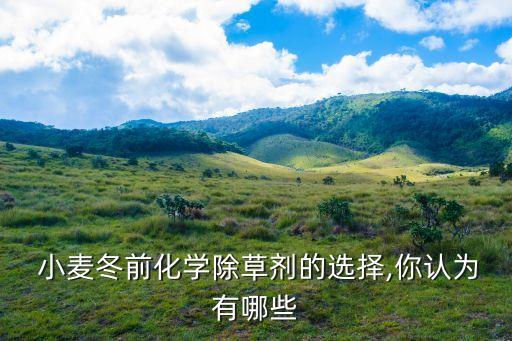 小麥冬前化學除草劑的選擇,你認為有哪些